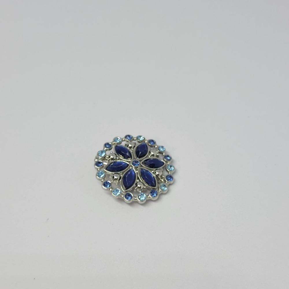 Silver Toned and Blue Hair Clip